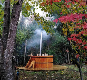 Apartamento independiente para dos personas en Pucon, CasaNikiara